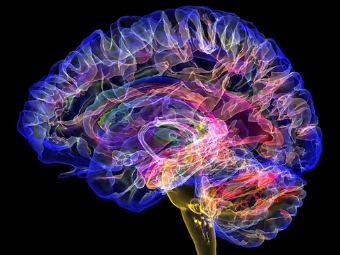 聚色楼大脑植入物有助于严重头部损伤恢复